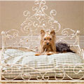 Antique scroll day bed