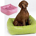 Dutchie square dog bed