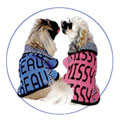 personalized knit dog coat