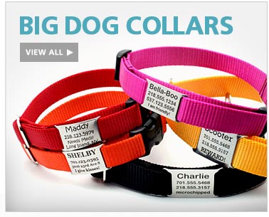 Big Dog Collars-View All